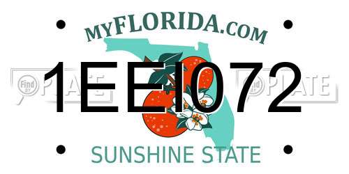 1EEI072 Florida License Plate