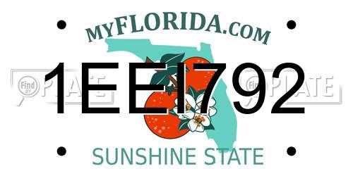 1EEI792 Florida License Plate