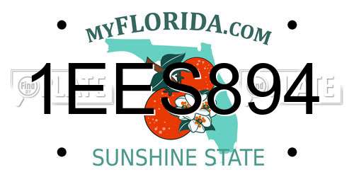 1EES894 Florida License Plate