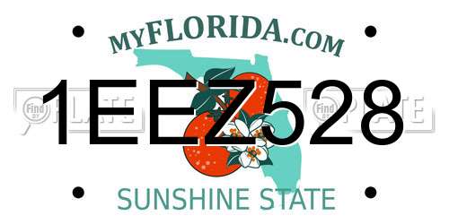 1EEZ528 Florida License Plate