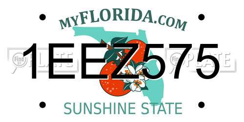 1EEZ575 Florida License Plate