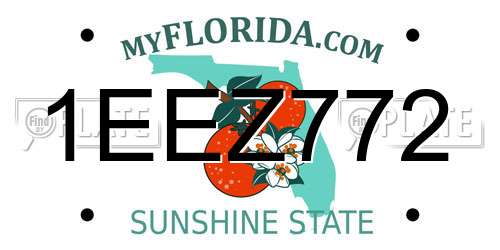 1EEZ772 Florida License Plate