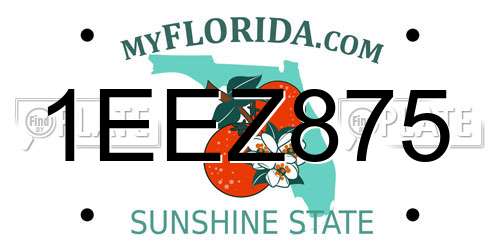 1EEZ875 Florida License Plate