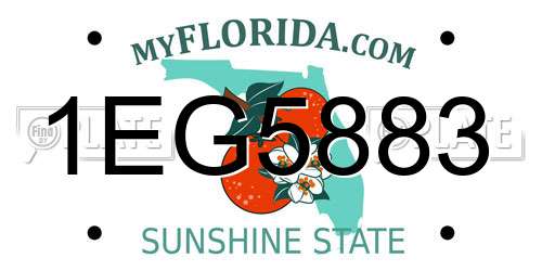 1EG5883 Florida License Plate