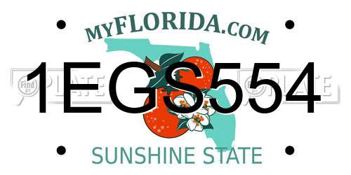 1EGS554 Florida License Plate