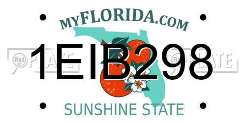 1EIB298 Florida License Plate