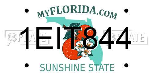 1EIT844 Florida License Plate