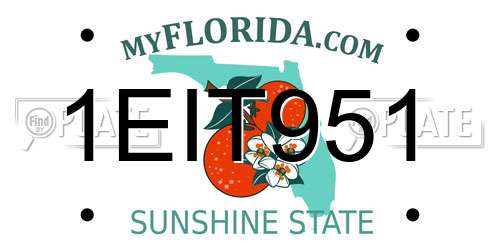 1EIT951 Florida License Plate