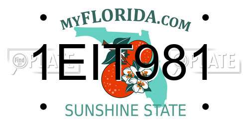 1EIT981 Florida License Plate