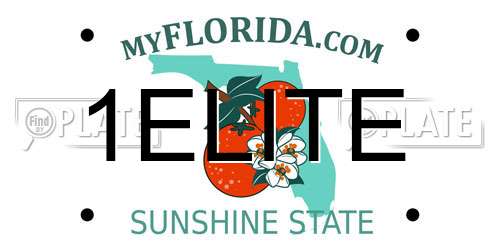 1ELITE Florida License Plate
