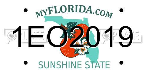 1EO2019 Florida License Plate