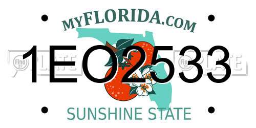 1EO2533 Florida License Plate