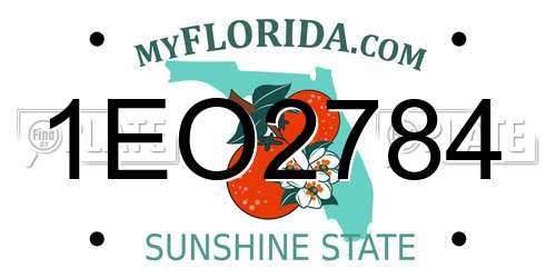 1EO2784 Florida License Plate