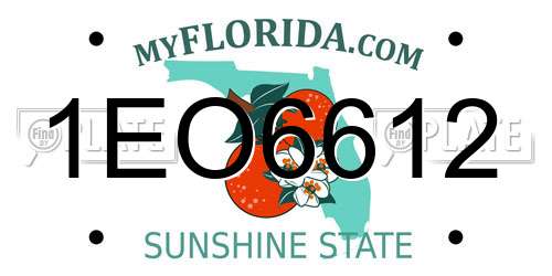 1EO6612 Florida License Plate