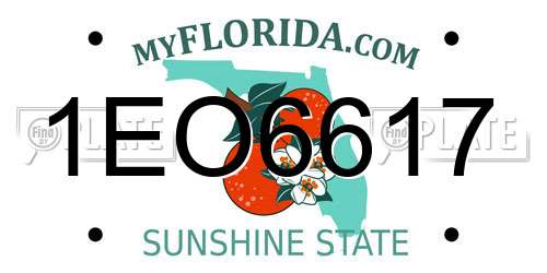 1EO6617 Florida License Plate