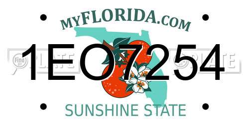 1EO7254 Florida License Plate