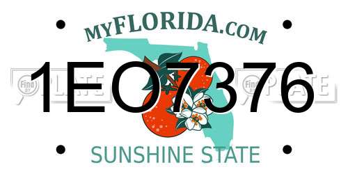 1EO7376 Florida License Plate