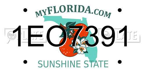 1EO7391 Florida License Plate