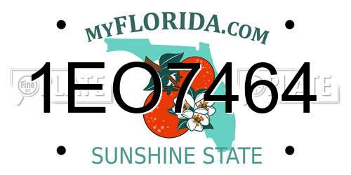1EO7464 Florida License Plate