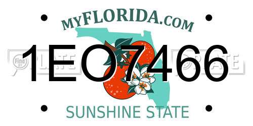 1EO7466 Florida License Plate