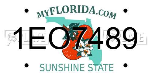 1EO7489 Florida License Plate