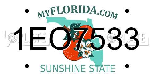 1EO7533 Florida License Plate