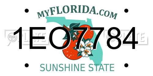 1EO7784 Florida License Plate