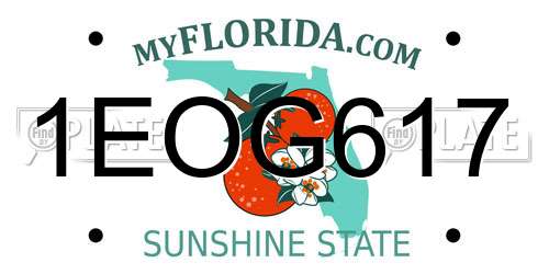 1EOG617 Florida License Plate