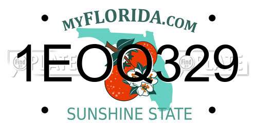 1EOQ329 Florida License Plate