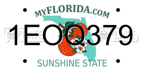 1EOQ379 Florida License Plate