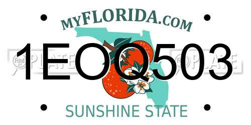 1EOQ503 Florida License Plate
