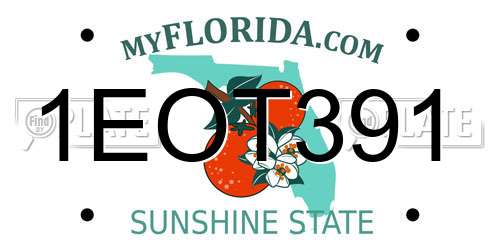 1EOT391 Florida License Plate