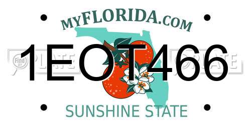 1EOT466 Florida License Plate