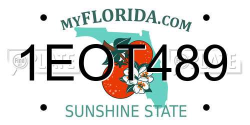 1EOT489 Florida License Plate