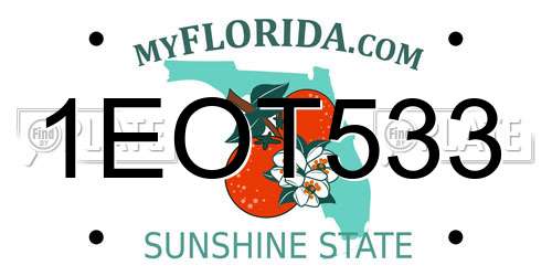 1EOT533 Florida License Plate