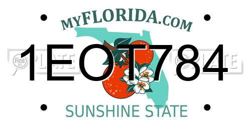 1EOT784 Florida License Plate