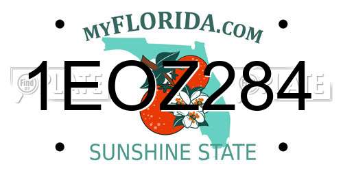 1EOZ284 Florida License Plate