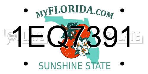 1EQ7391 Florida License Plate