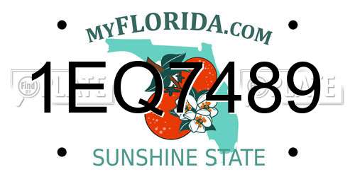 1EQ7489 Florida License Plate