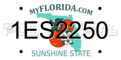 1ES2250 Florida License Plate