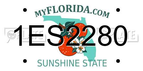 1ES2280 Florida License Plate