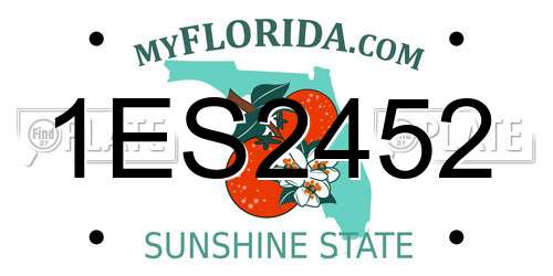 1ES2452 Florida License Plate