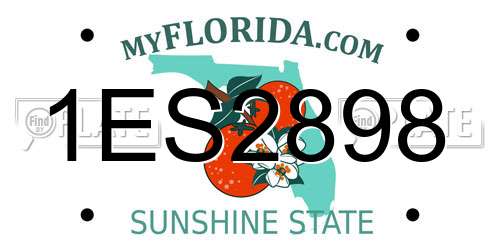 1ES2898 Florida License Plate