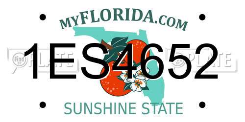 1ES4652 Florida License Plate