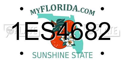 1ES4682 Florida License Plate