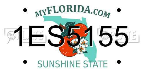 1ES5155 Florida License Plate
