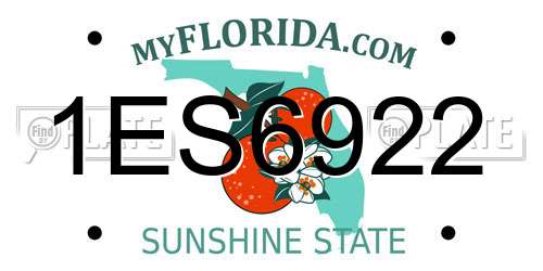 1ES6922 Florida License Plate