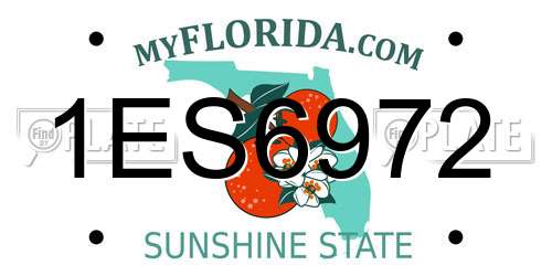 1ES6972 Florida License Plate