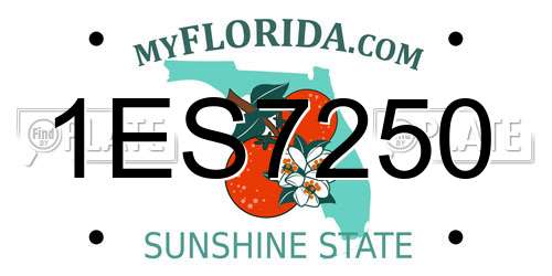 1ES7250 Florida License Plate