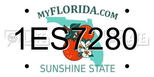 1ES7280 Florida License Plate
